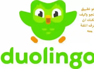 ماهو تطبيق duolingo