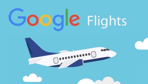 موقع google travel flights