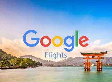 موقع google travel flights