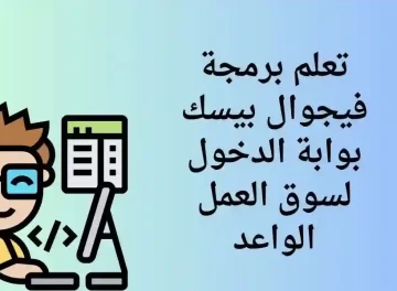 ما هي أهمية تعلم فيجوال بيسك؟