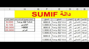 WhatsApp-Image-2025-03-14-at-11.32.47_b5366376-300x167 دوال الجمع في Excel | الفرق بين SUM و SUMIF و SUMIFS