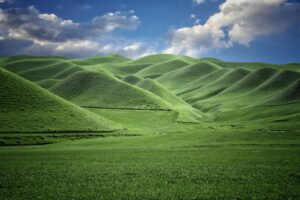 hasan-almasi-YYQg4tcEGbc-unsplash-300x200 برنامج سواعد الإخاء: كوكبة من العلماء والمشايخ في حوار يجمع العلم والحكمة