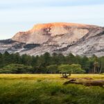 برنامج سواعد الإخاء