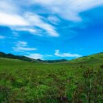 برنامج قلبي اطمأن