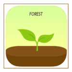 تطبيق Forest