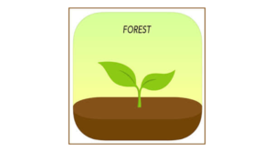 تطبيق Forest