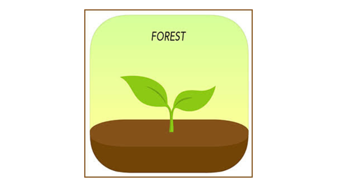 تطبيق Forest