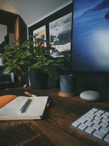 phil-aicken-iWPLP8n0BFw-unsplash-225x300 أسرار القبول في وظائف الشركات الكبرى عبر موقع Indeed